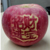 �鿴emmawang528�ĸ�����ҳ