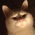 �����