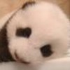 �鿴��������ĸ�����ҳ