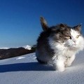 ̹��