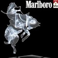 �f��·��Marlboro��