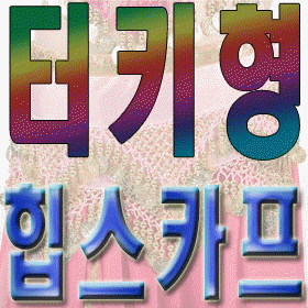 ��Ƥ��6