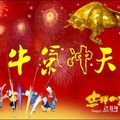 mrliyao