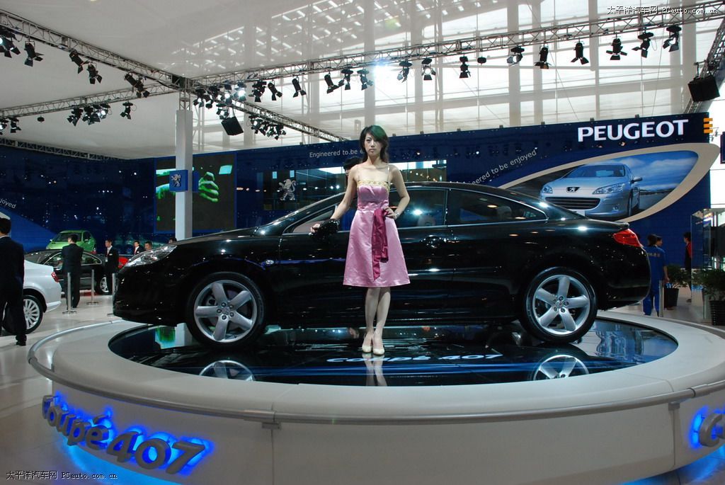 標(biāo)致407車展高清大圖